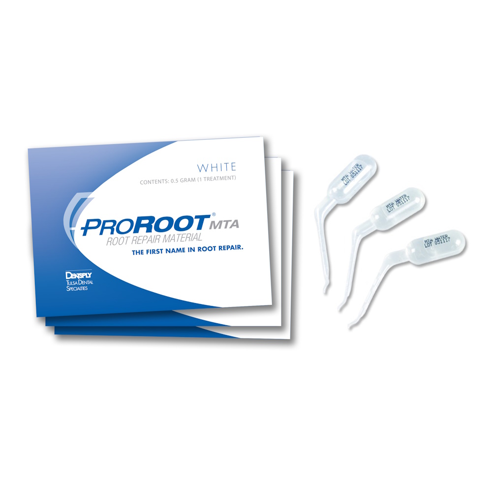 Pro Root MTA Refill / 프로루트 MTA 리필 [0.5g*4개]