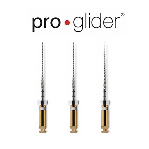 ProGlider Essential Glide Path / 프로글라이더 나이타이 파일